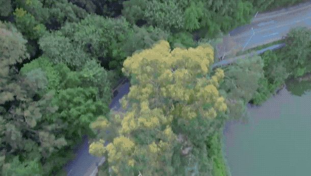 验：135g的它却是我心目中最好的航拍无人机爱游戏app网站手机版DJI NEO 首发体(图16)