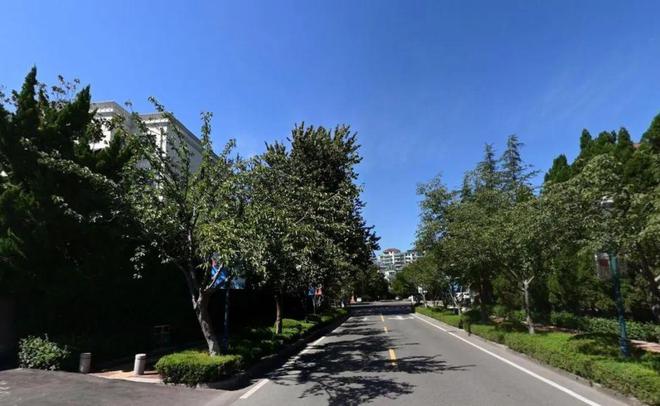 年政府财力投资项目共11个投资超12亿a